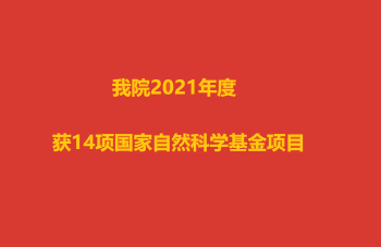 2024新老澳门原料网站