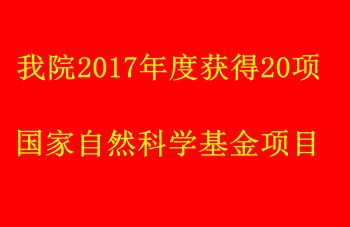 2024新老澳门原料网站